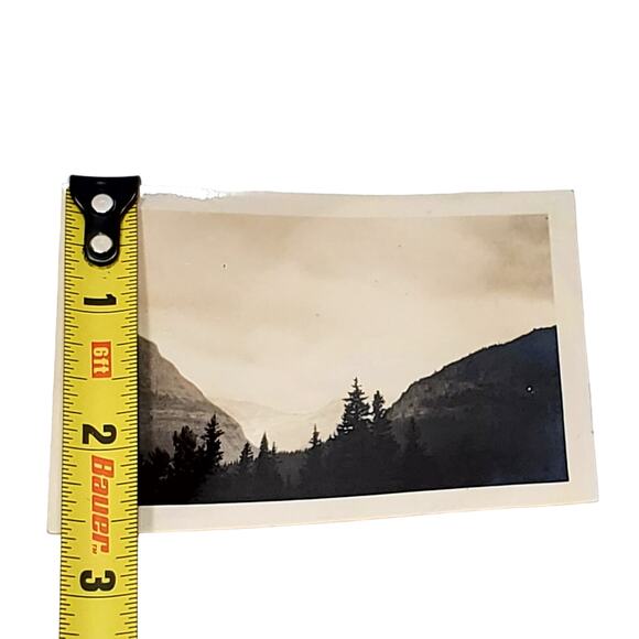 Vtg B&W Photo Found 1940s Yellowstone Nat Park Trees Mountain Top View Snapshot - Picture 3 of 4